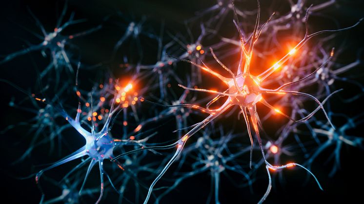 Brain cells inspire new computer components