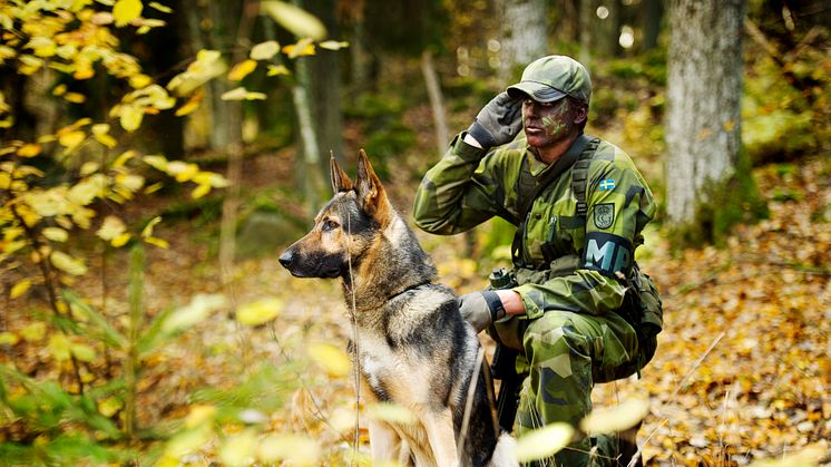 Foto: Nicklas Gustafsson/Försvarsmakten