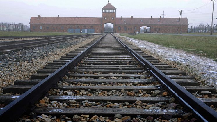 Auschwitz_The HISTORY Channel