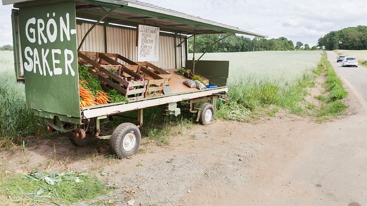 Försäljning av grönsaker utmed väg. Foto: Marie Linnér/Scandinav bildbyrå