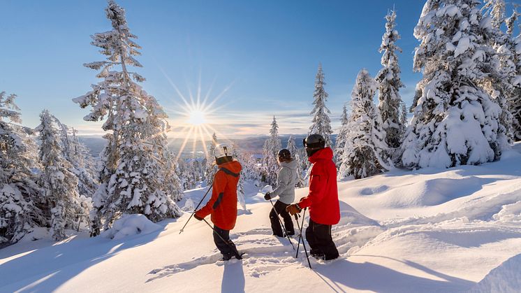 Succéveckor hos SkiStar under jul och nyår: Mycket goda snöförhållanden inleder året 