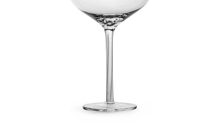 Saga champagne coupe, 2-pcs - Sagaform SS22