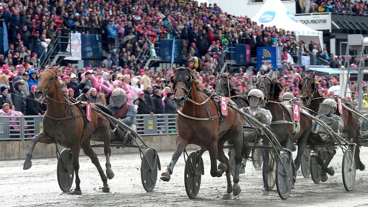 Elitloppsvinnare 2019, Dijon. Foto Lars Jakobsson/TR Media