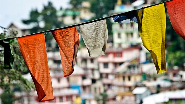 En praktikants erfarenheter från ett tibetanskt exil-samhälle i Indien 