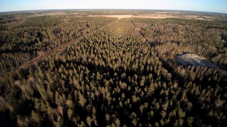 Film över tänkbar plats för byggande av Northvolts batterifabrik