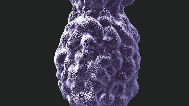 Pneumokockbakterie, illustration