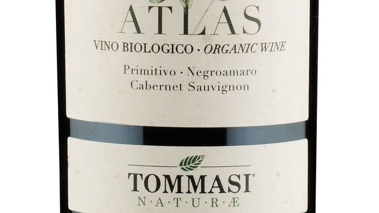 Tommasi Surani Atlas Organic