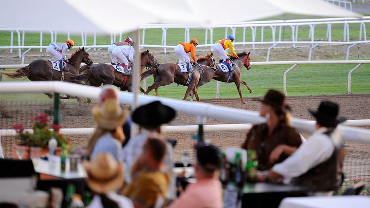 A Touch of The West på Täby Galopp 