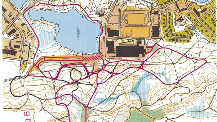 Lycksele kan få projekterad asfaltbana för rullskidor