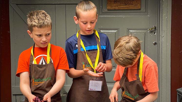 Det fantastiske havet – sommerskole på Geitmyra 