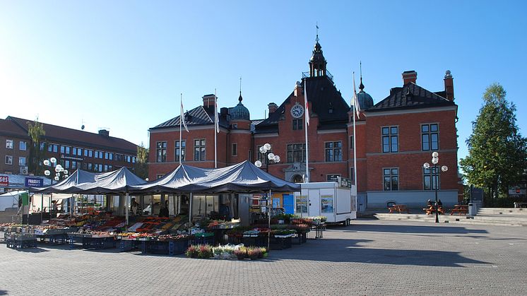 Självplock av munksten på Rådhustorget 7 juni