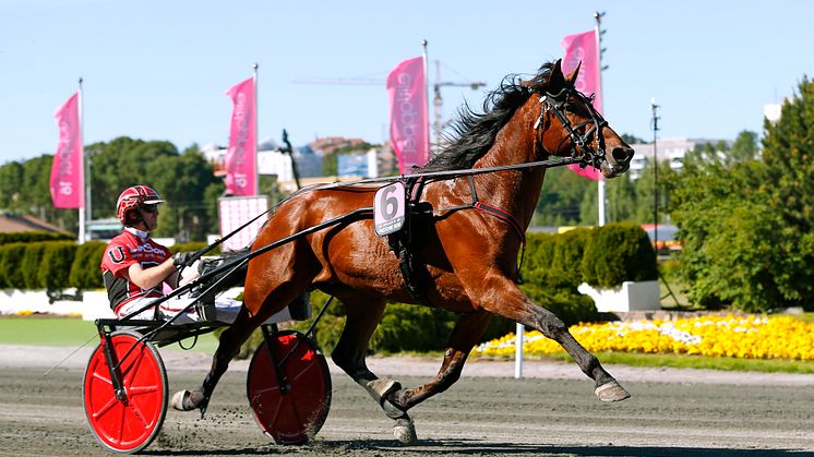 Pastore Bob kvalificerade till Elitloppet 2018. Foto: Maria Holmén/TR Bild