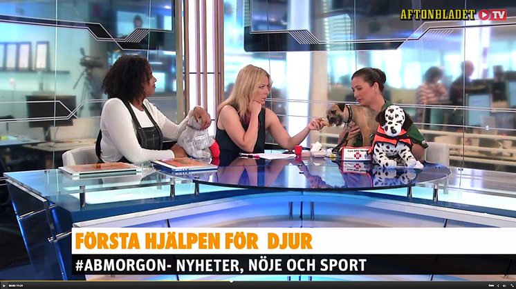 Bild hämtad från Aftonbladet TV