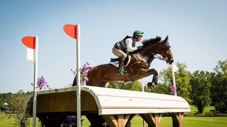 Yanmar America will sponsor The Fork at Tryon International equestrian event. (Photo ©Shannon Brinkman Photography)