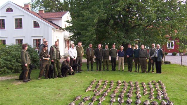 Glasriket och Adventura inleder samarbete