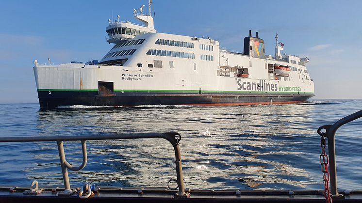 Scandlines verlängert Kooperation mit dem Naturschutzbund Deutschland