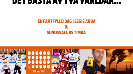 Miniseminarium med hockey i Sundsvall