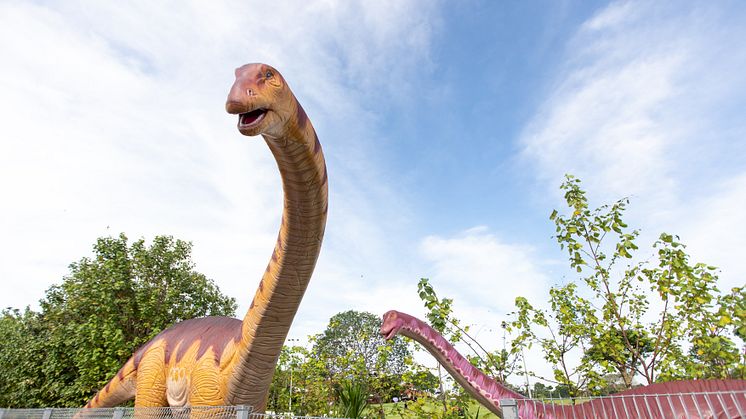 The 3.5-km cycling and jogging path features life-sized dinosaur exhibits and a one-stop location where visitors can rent bicycles, shower and dine