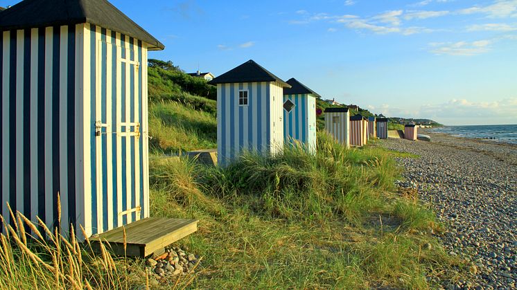 Strand Dänemark