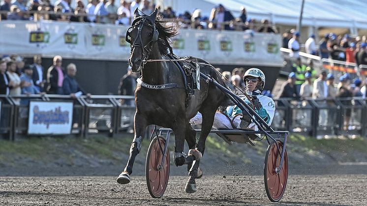 Admiral As är klar för Elitloppet 2022. Foto: TR Bild