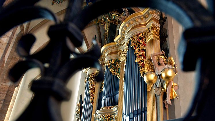 große Silbermannorgel im Dom St. Marien Freiberg /Foto:TVE Wolfgang Thieme