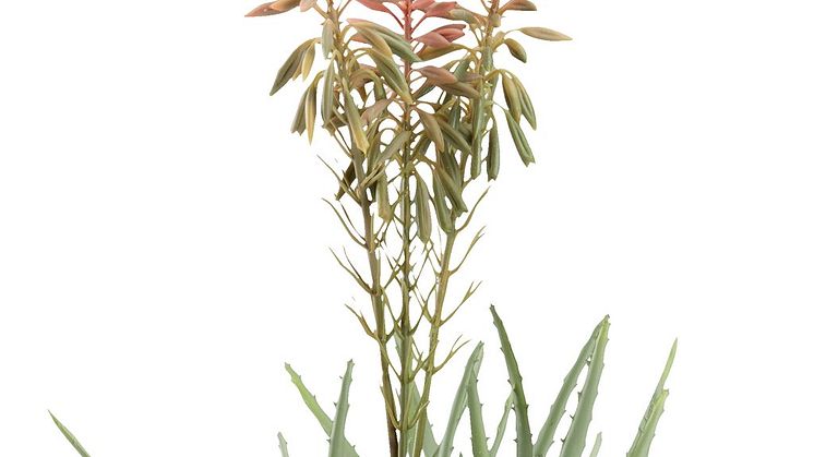 Kunstig plante RASMUS H51cm m. blomster (150,- DKK)