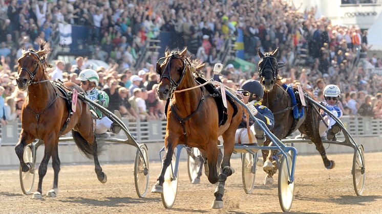 V64 på Solvalla: Elitloppsvinnaren Iceland gör comeback