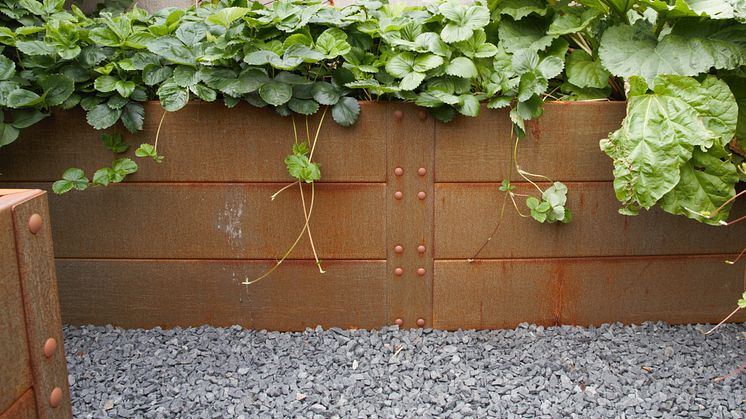 Odlingslådorna från Flexigarden består av cortenstål som bara blir vackrare med tiden