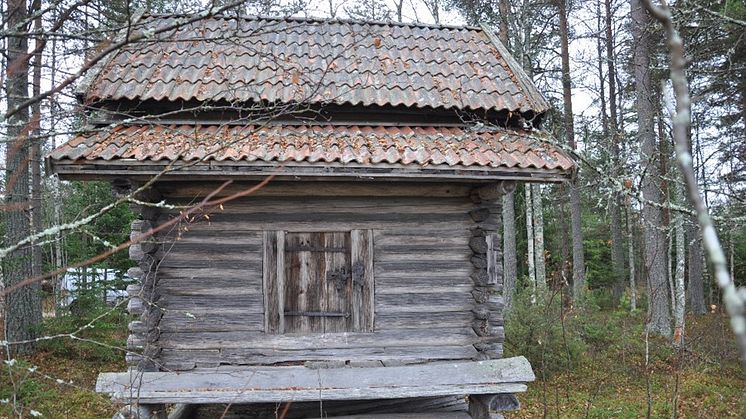 Härbre i Färnäs, timrat år 1469. Foto: Dalarnas museum