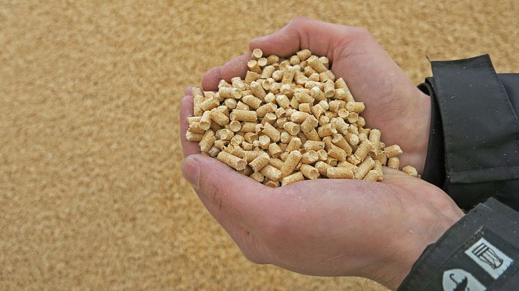 Approximately 1.7 million tonnes of pellets were produced in Sweden in 2016.