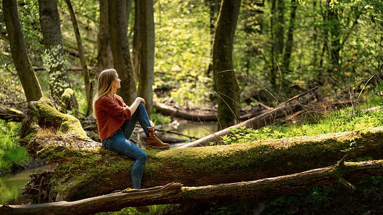 Buckow (Märkische Schweiz)_Buckow_Frau_sitzt_auf_einem_umgefallenen_Baum_in_der_Märkischen_Schweiz