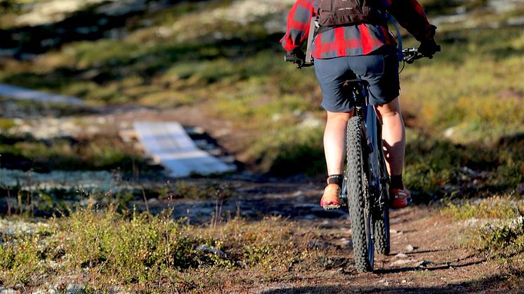 14-16 juni 2022 genomför Lofsdalens stigcykelteam i stigbyggnation 