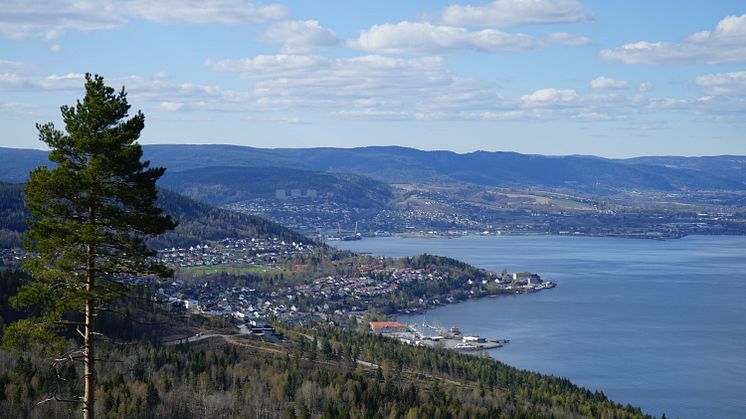 Det nye renseanlegget skal bygges under Nordbykollen i Drammen og skal bidra til å bedre vannkvaliteten i Drammens- og Oslofjorden | Foto: Adobe Stock/Oleksandr