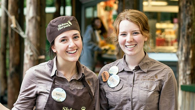 Rekordintresse för säsongsjobb i djurparken