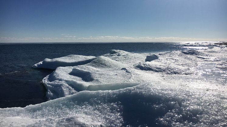 Ett stort steg för Vänerns framtid