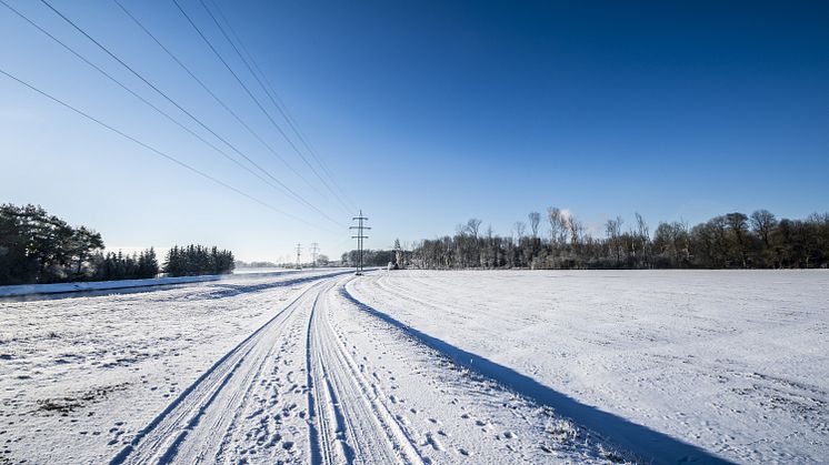 ​I terminmarkedet har prisen på alle kontrakter steget de siste ukene. Kontraktene for inneværende år setter nye toppnoteringer, mens kontrakten for 2019 er på et nivå vi ikke har sett siden 2015.