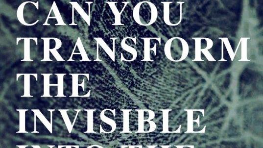 Francesca Grilli - Can you transform the invisible into the visible?