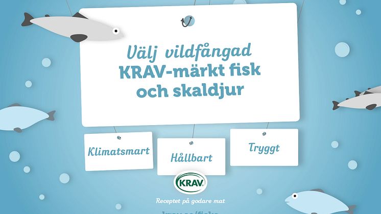 Grönt ljus för KRAV-märkt fisk