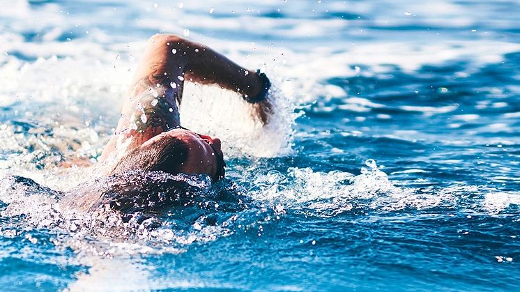 Am Samstag, 14.8. findet das 1. Lighthouse Swim – Open Water Kiel in der Kieler Förde statt.