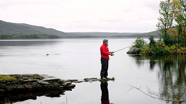 Person som fiskar i en fjällsjö. Foto: Mostphotos