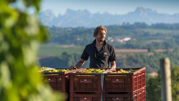 Tillfällig lansering 8/12: Raventós i Blanc De La Finca 2020 