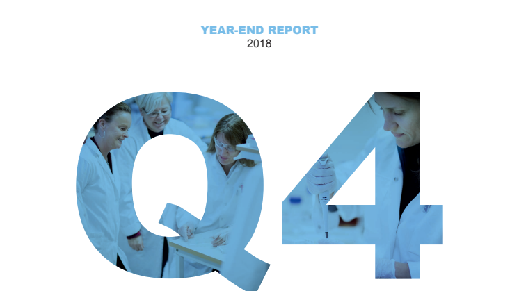 Year End Report 2018