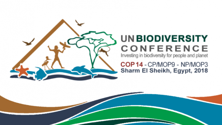 Formålet med den internationale konference for beskyttelse af biodiversitet er lave en fælles aftale, der kan stoppe tabet af arter. 