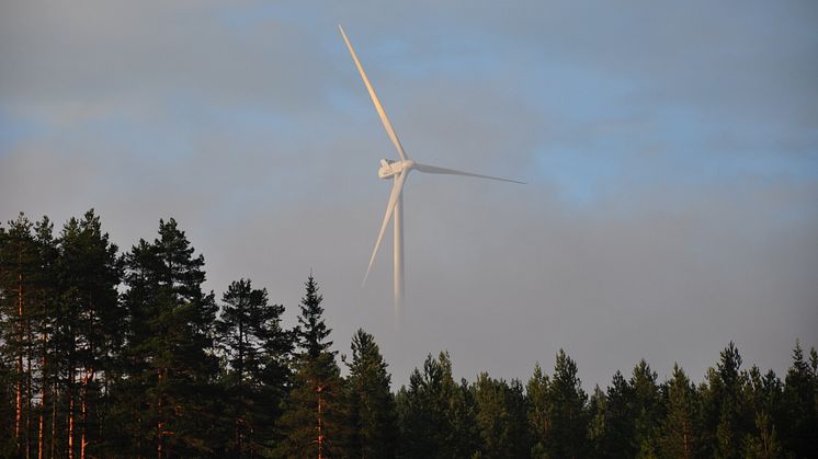 Dala Elfond drar nytta av låga rörliga elpriser