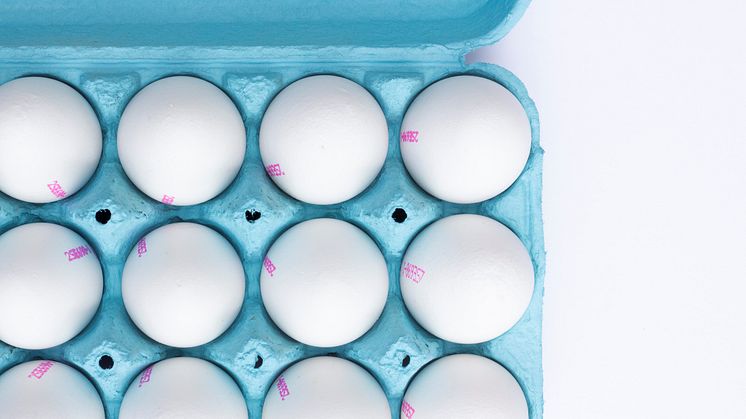 Prishöjning behövs för att säkra tillgången på svenska certifierade ägg