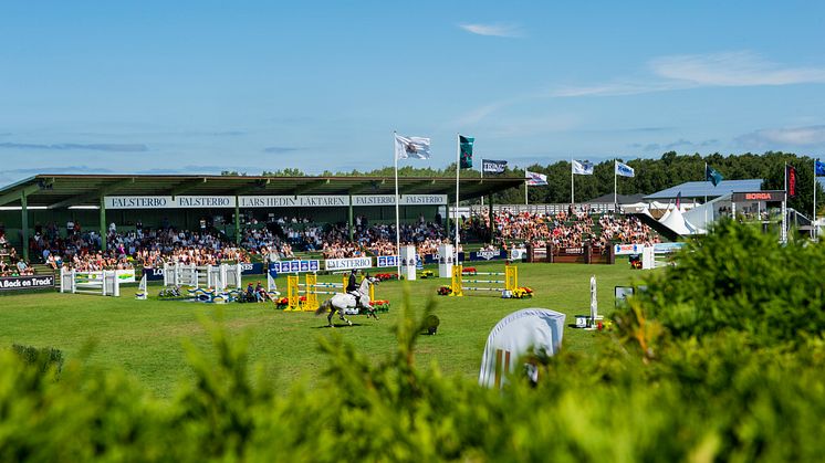 På lördag drar Falsterbo Horse Show igång och redan på söndag väntar lag-SM-final i hoppning, Folksam Elitallsvenska. Foto: Ludvig Thunman/Bildbyrån