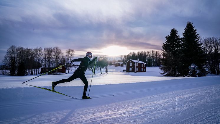 Skidåkning