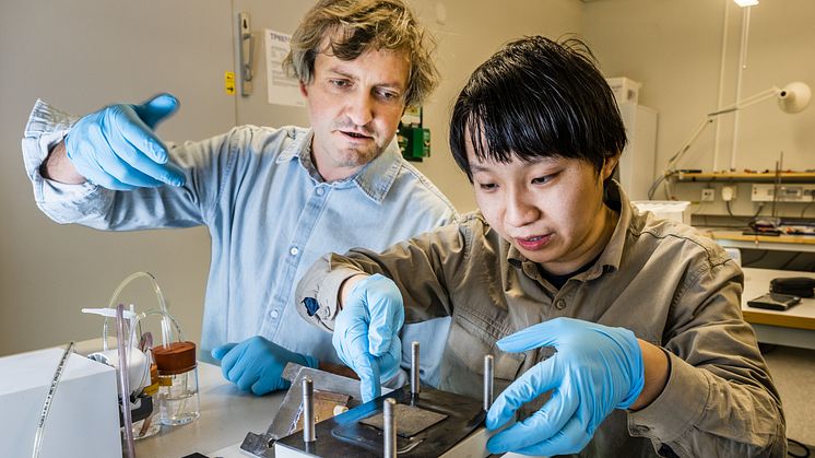 Mikhail Vagin, Penghui Ding, Laboratoriet för organisk elektronik.