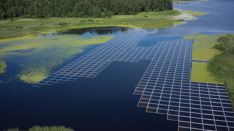 Ett sätt att bekämpa sjögull är att placera ramar med duk över unga plantor som precis kommit upp ur vattnet tidigt på säsongen. Foto: Peter Olsson, Ingmars Drönartjänst/Havs- och vattenmyndigheten.