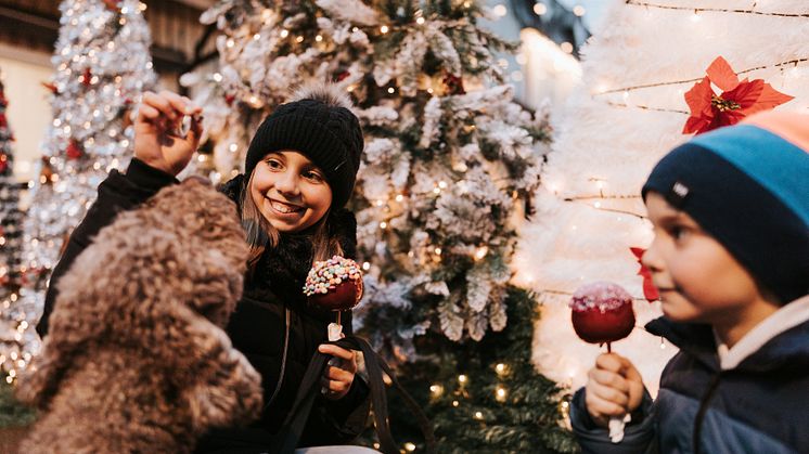 Julmarknaden har något för alla. Barnen kan träffa tomten, åka brandbil, testa på ponnyridning och annat kul.